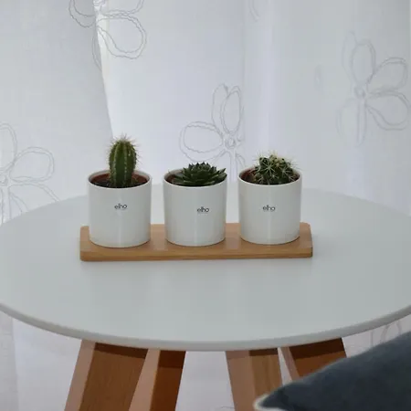 Papedoni Apartamento Split